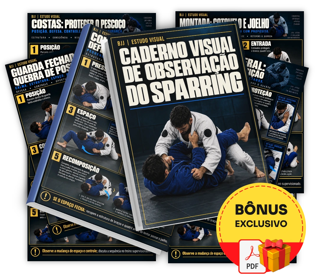 Caderno Visual de Observação do Sparring